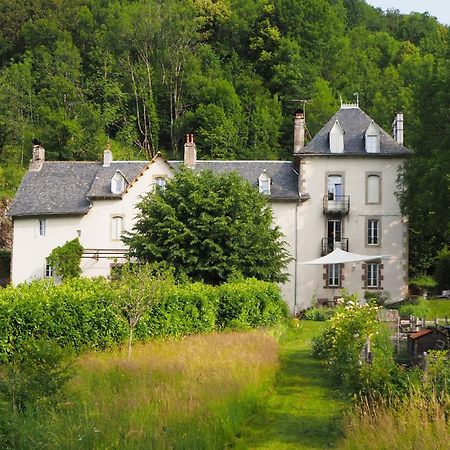 Domaine De La Jordanne - B&B Saint-Cirgues-de-Jordanne Esterno foto