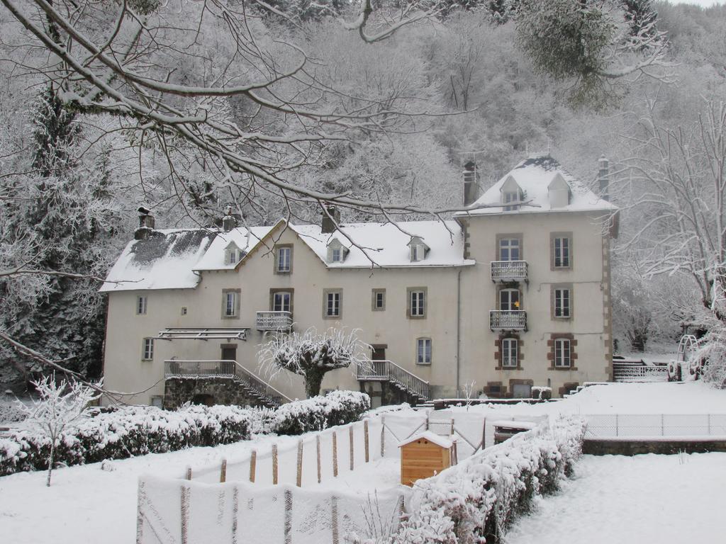 Domaine De La Jordanne - B&B Saint-Cirgues-de-Jordanne Esterno foto
