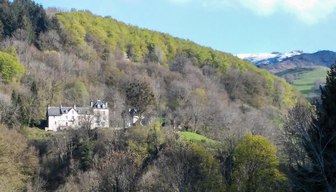 Domaine De La Jordanne - B&B Saint-Cirgues-de-Jordanne Esterno foto